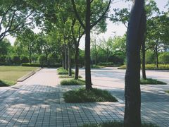 -新江湾城公园