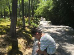 -暨阳湖生态园