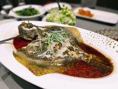 多宝鱼-神洲四海大酒楼(王府井澳门中心店)