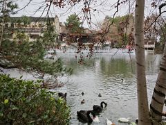 -永泉忆江南12景区