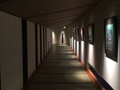 -滨千鸟之汤 海舟