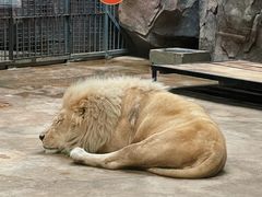 -鄂尔多斯野生动物园