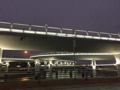 -演武大桥观景平台