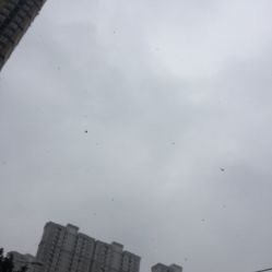 点击看大图 -AYA FACE 微注颜·德式半永久定妆