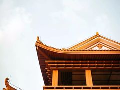 -深圳仙湖植物园-停车场