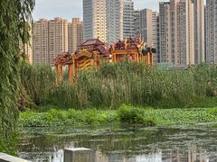 -大小河街