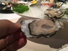 -Oyster Talks 四度蚝法餐厅