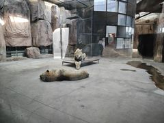 -鄂尔多斯野生动物园