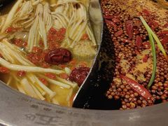 -钢管厂五区小郡肝火锅串串香(总店)