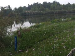 -白鹭湾湿地公园