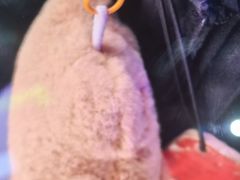 -关你鬼室大型密室逃脱(佛山创意园店)