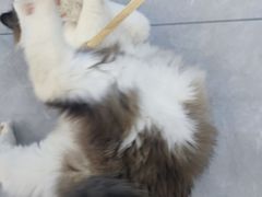 -CityOn熙地港（西安）购物中心
