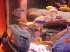 -沈阳海洋探索中心