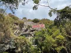 -伊岭岩风景区