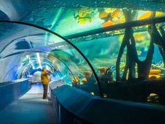 -太平洋海底世界