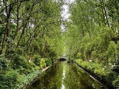 -合肥滨湖国家森林公园