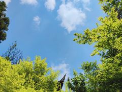 -狼山风景名胜区