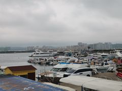 -小石岛景区