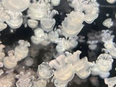 -嘉兴海底世界