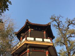 -莲花池公园