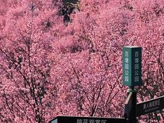 -全季酒店(重庆上清寺牛角沱地铁站店)