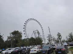 -日照海滨国家森林公园