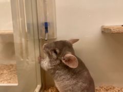 -龙猫仔乐园(惠福东路店)