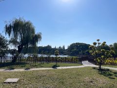 -尚湖风景区