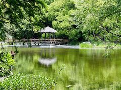 -上海滨江森林公园
