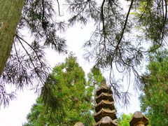 -玉苍山国家森林公园