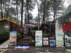 -小小饭店·休闲农庄·安吉松树林里的农家菜