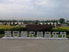 -曲江薰衣草庄园