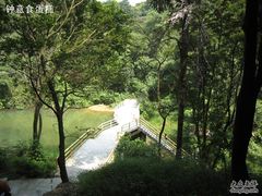 -广州市帽峰山景区