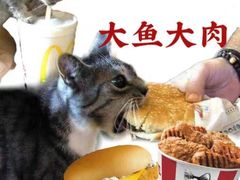 -麦当劳(中山八路店)