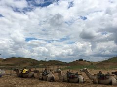 -亿利库布其七星湖沙漠生态旅游区