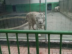 -五龙山野生动物王国