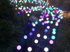 -杭州第一世界大酒店·云曼温泉