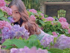 -广西壮族自治区药用植物园