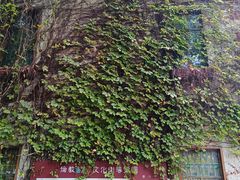 -伦教678文化街