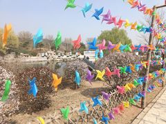 -北京西山国家森林公园