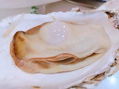 生蚝-林超龙虾馆(陶冲湖店)