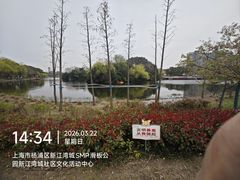 -新江湾城公园
