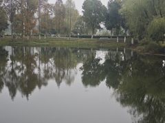 -金银湖国家城市湿地公园