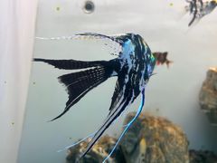 -多彩贵州城极地海洋世界