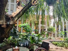 -Fern Forest Cafe