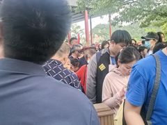 -沂蒙山旅游区云蒙景区(蒙山国家森林公园)