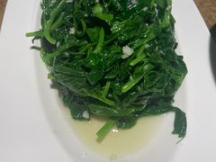 清炒豌豆尖-渝信川菜(西单店)