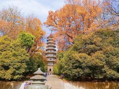 -灵谷景区
