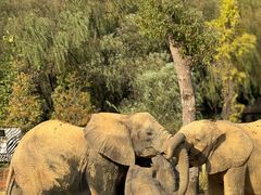 -杭州野生动物世界