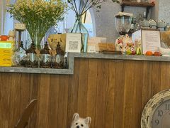 -绿房子方寸咖啡(星海名城店)